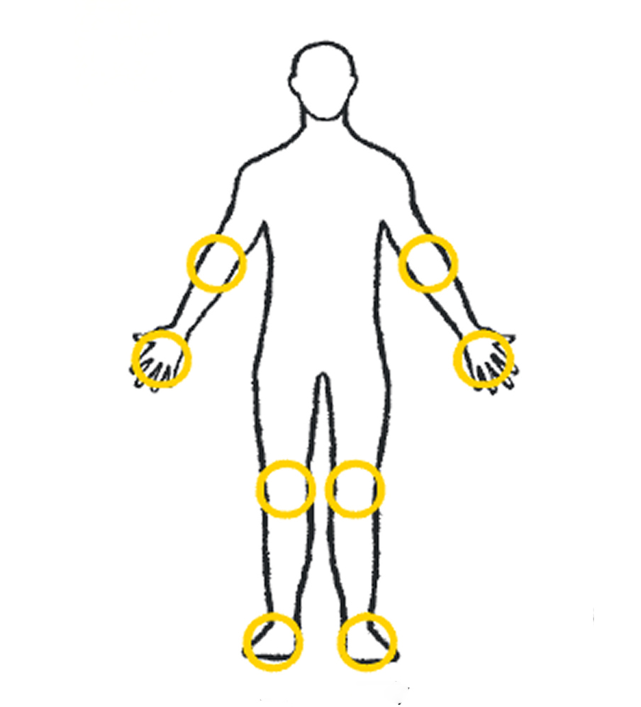 Front of the body outline