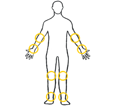 Front of the body outline